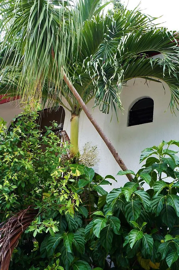 Lava House Hotel Cancun Homestay